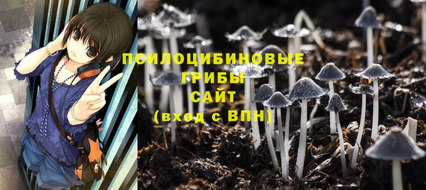 мет Армянск