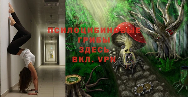 винт Арсеньев