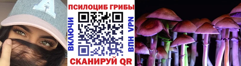 Псилоцибиновые грибы GOLDEN TEACHER  Купить где  Макушино 